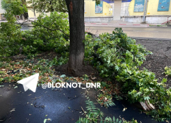 В Донецке прошел ураган: кадры последствий