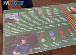 В честь погибшего журналиста Александра Мартемьянова в школе Донецка открыли Парту Героя