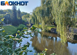 Островок для отдыха: где дончане проводят время в выходные