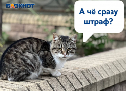 Жителей и предпринимателей Донецка будут штрафовать до 50 тысяч рублей за мусор возле дворов и торговых объектов