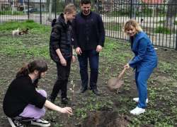 Ученики Мариупольской школы поддержали Международную акцию и высадили «Сад памяти»