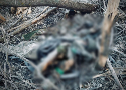 Зачистка Покровска: крепость ВСУ в ДНР завалена горами сгнивших трупов солдат