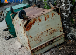 Свалка ликвидирована – да здравствует новая свалка: что не так с уборкой мусора в Донецке