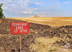 МЧС следит за сохранностью урожая в ДНР