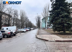 До абсолютного максимума не дотягиваем: жаркими днями встретит Донецк первые дни 2025 года
