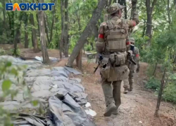 Наступление российских войск на Харьков с другого участка фронта: Зеленский в панике