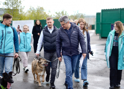 Остановить домашнее насилие, спасти животных, помочь матерям — топ-3 инициативы «Новых людей» для Донецка