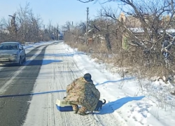 Волонтеры показали отлов одичавших кошек в приграничье ДНР