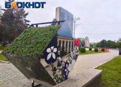 На центральной площади Донецка появилось 7000 цветов