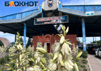 Автобусы из Донецкой Народной Республики в большую Россию отменяют: в субботу отправлений не будет