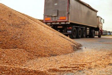 Доставка нерудных материалов ДНР ЛНР  - 