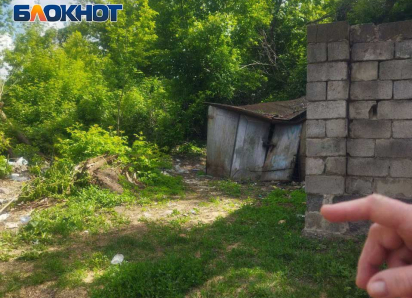 Штрафы не помогут: почему в ДНР на месте ликвидированных свалок тут же растут новые