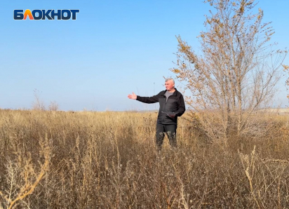 Приставами отказано: житель ДНР не может добиться от бывших арендаторов приведения в порядок своих сельхозземель