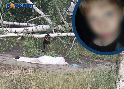10-летнего мальчика насмерть придавило деревом во время шторма в Донецке