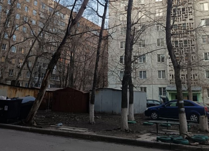 Аварийное дерево чуть не убило ребёнка на Петровского 113а в Донецке