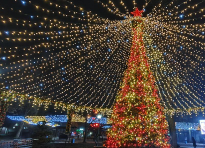 Одну из самых красивых ёлок ДНР отключат из-за помочившейся на неё собаки