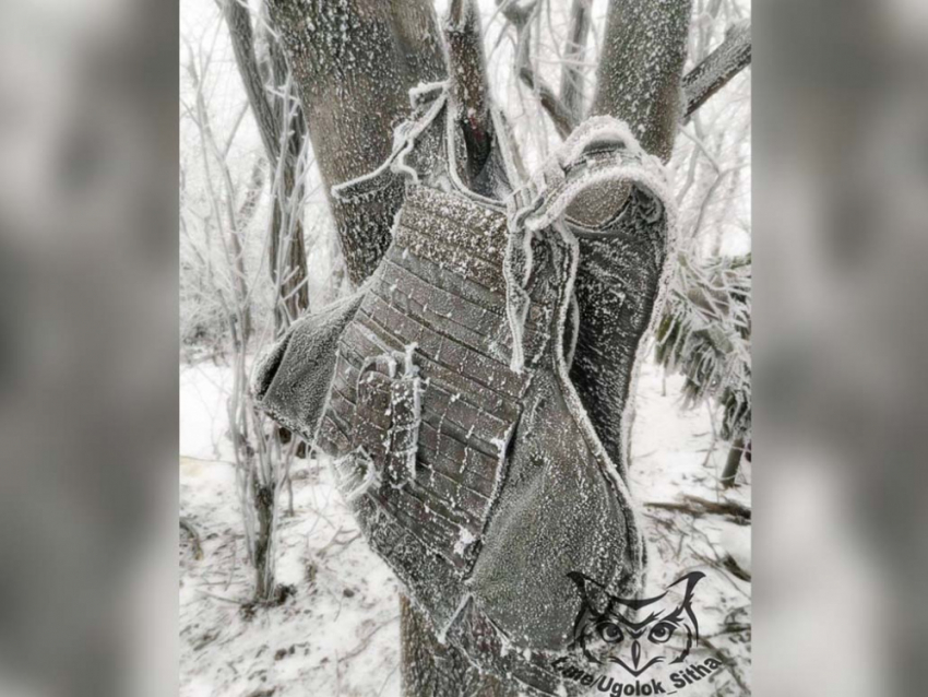 Тысяча солдат ВСУ заживо вмерзает в лед под Красным Лиманом, как немцы под Москвой