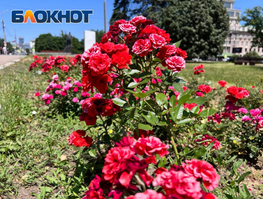 Знойной жарой встретит Донецк последний месяц лета 2023 года