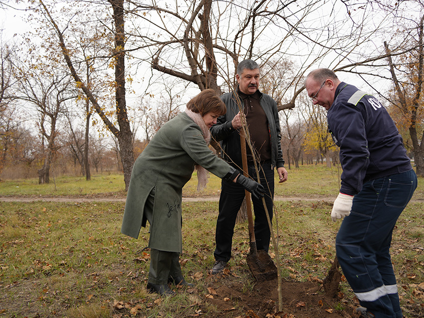 Депутаты Енакиевского горсовета совместно с сотрудниками ЕМЗ высадили деревья