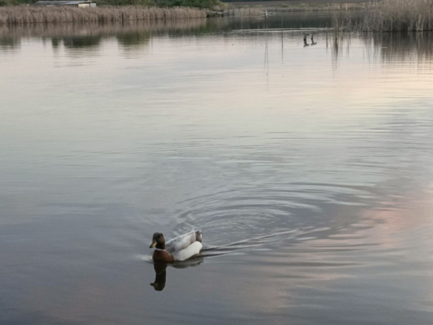 Студенты из 22 городов России работают над преображением прибрежной зоны в Донецке