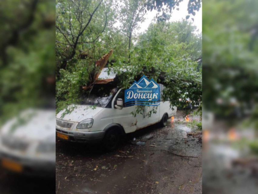 Пассажир маршрутки пострадал из-за упавшего дерева в Донецке