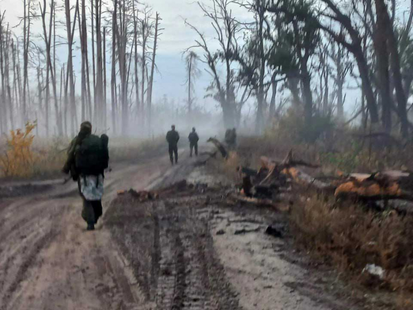 Добропольский «котел» ВС РФ стал могилой для бойцов ВСУ