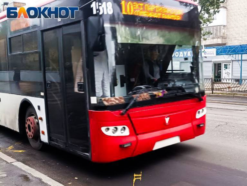 Из ДНР будут ходить автобусы в Таганрог и Воронеж
