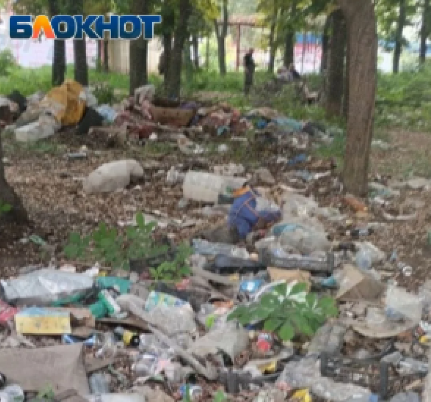 Второй месяц на Бирюзова в Донецке разрастается свалка в парковой зоне