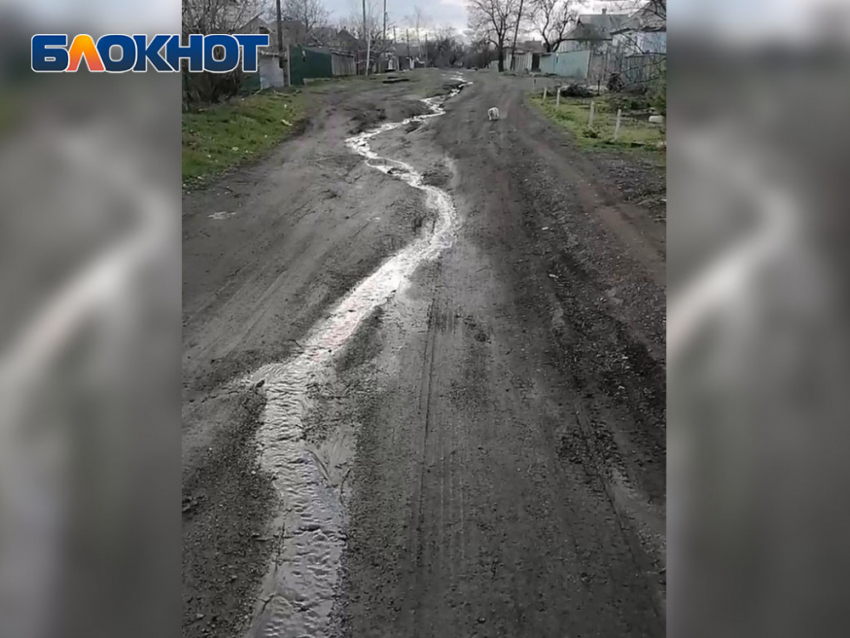 Пруд, в котором купаются дети пгт Пролетарского в Макеевке, заливает фекалиями