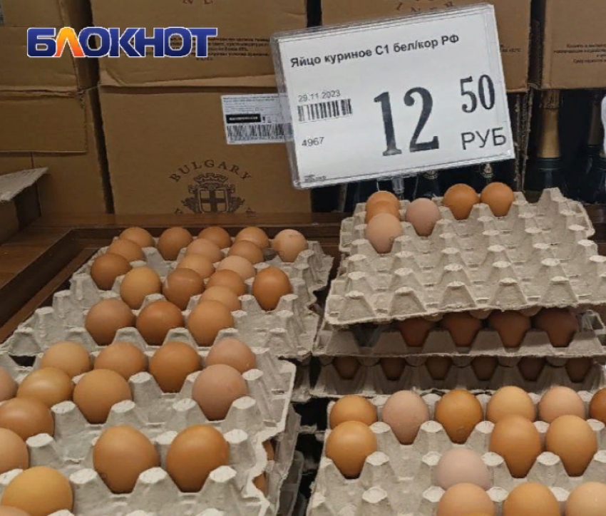 «Золотые яйца» нам будет нести импортер: как не «отрубить голову» птицеводам в ДНР и удержать цены на яйца с курицей