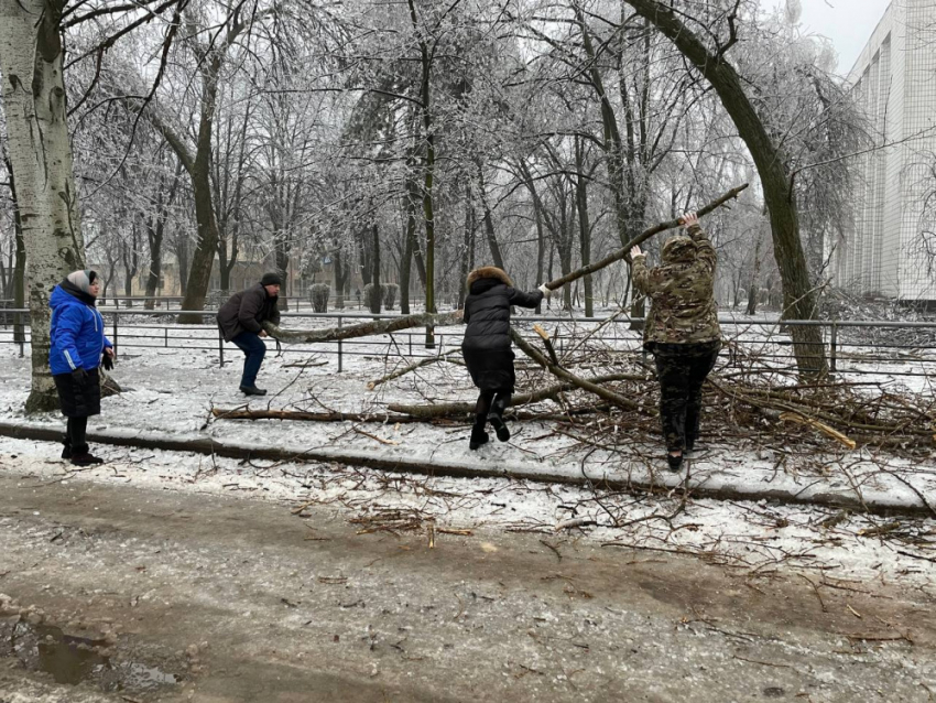 В Харцызске сотрудники администрации вышли на уборку упавших веток, а глава напомнила куда сообщать об авариях