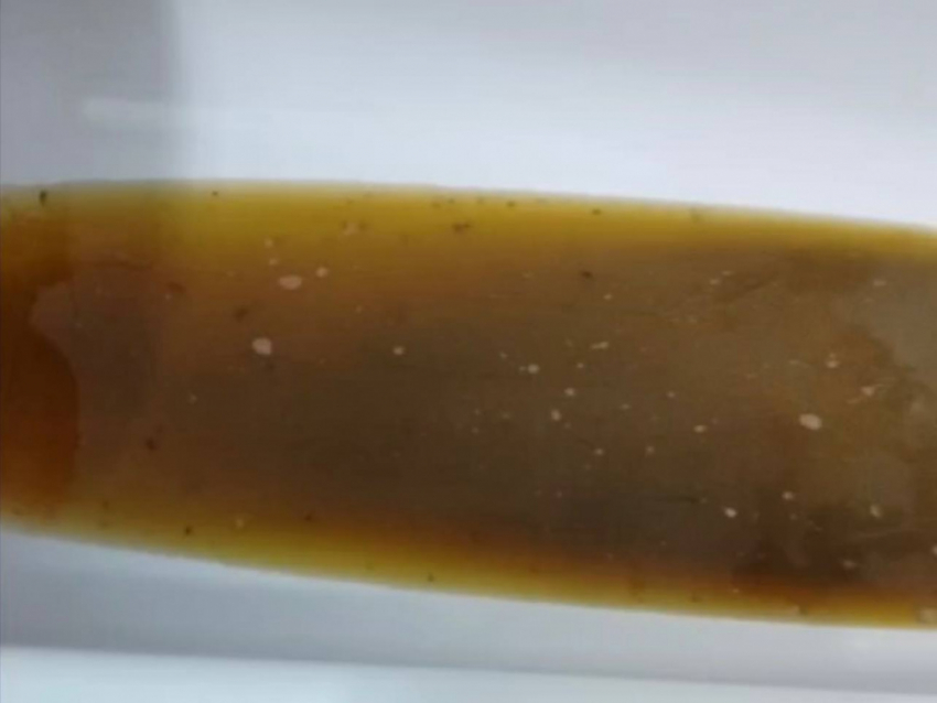 Десять домов в квартале Донецка вынуждены жить с забитой канализацией, водоканал не реагирует 