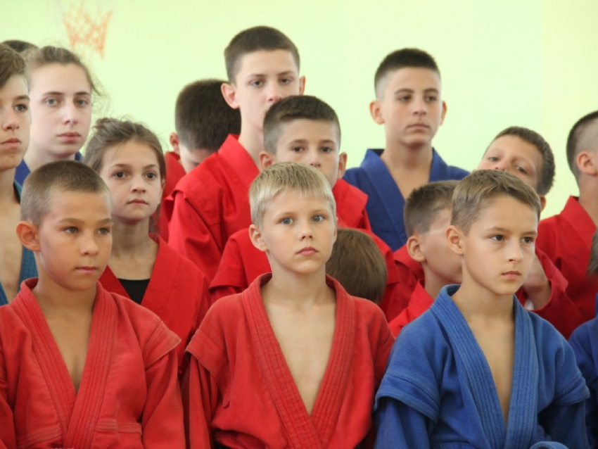 Школьники ДНР будут заниматься самбо на уроках физкультуры