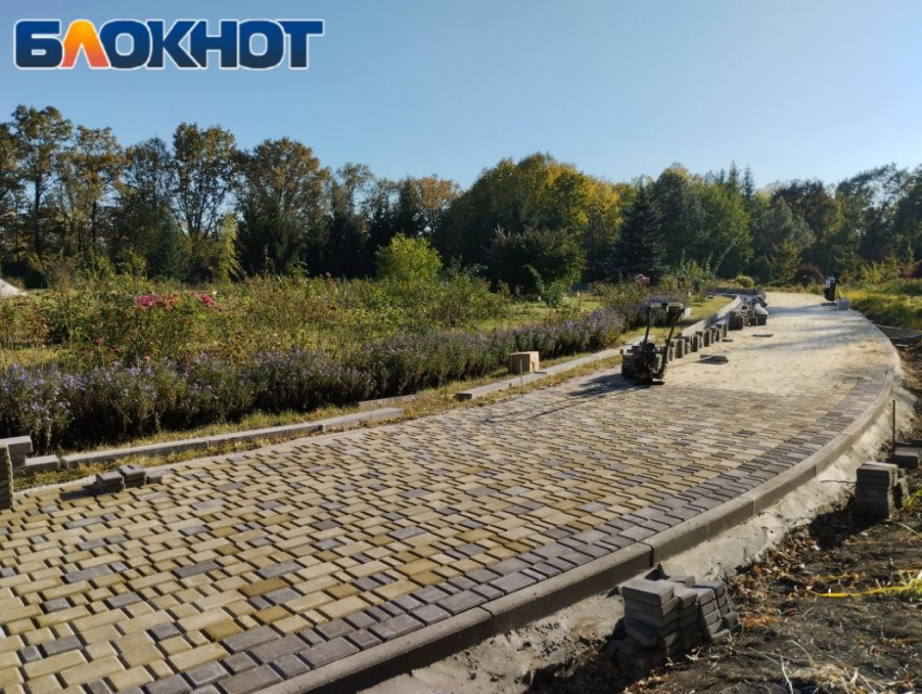 Последние теплые дни: прогулки и ремонт в ботсаду Донецка 