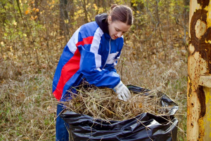 В День народного единства молодежь привела в порядок парк им. Пушкина на Азотном в Донецке