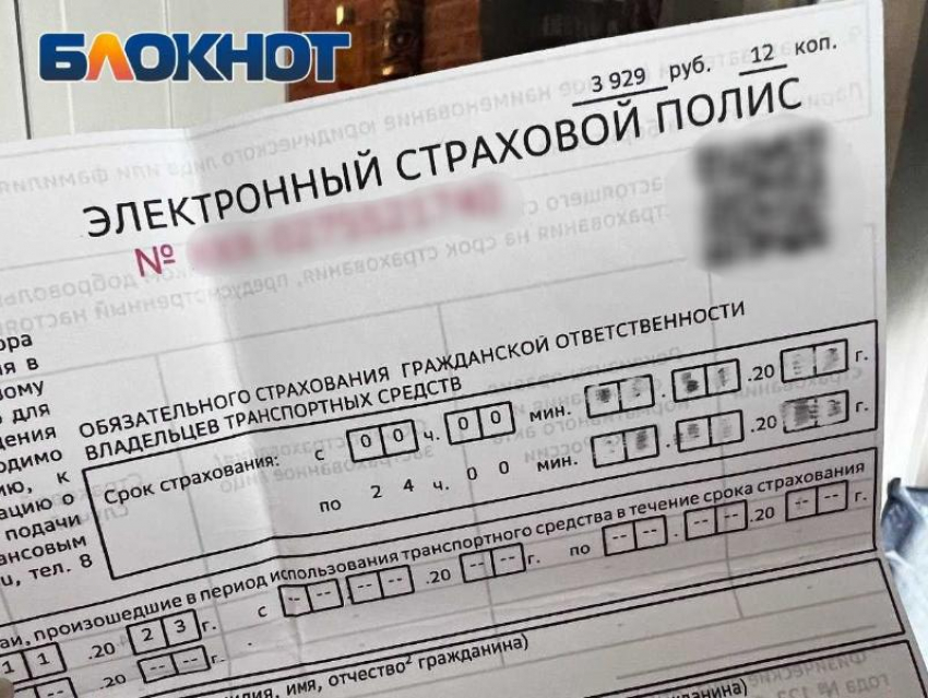 Решение отсрочить применение закона об ОСАГО в ДНР поддержали в Народном совете 