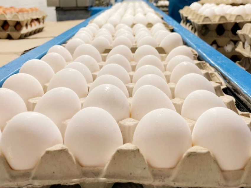 Власти рассказали, что будет в ДНР с ценами на яйца к Пасхе