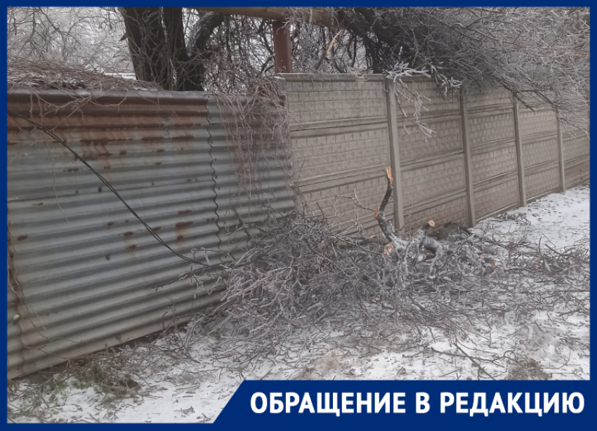 «Дозвониться никуда не возможно»: без света из-за упавшего дерева остались жители частного сектора в Киевском районе 