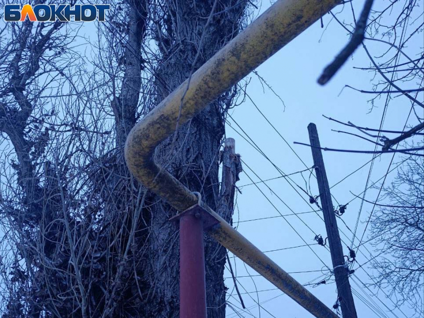 Жители улицы Огородной в Донецке напомнили властям об обещании обрезать деревья и заменить столбы