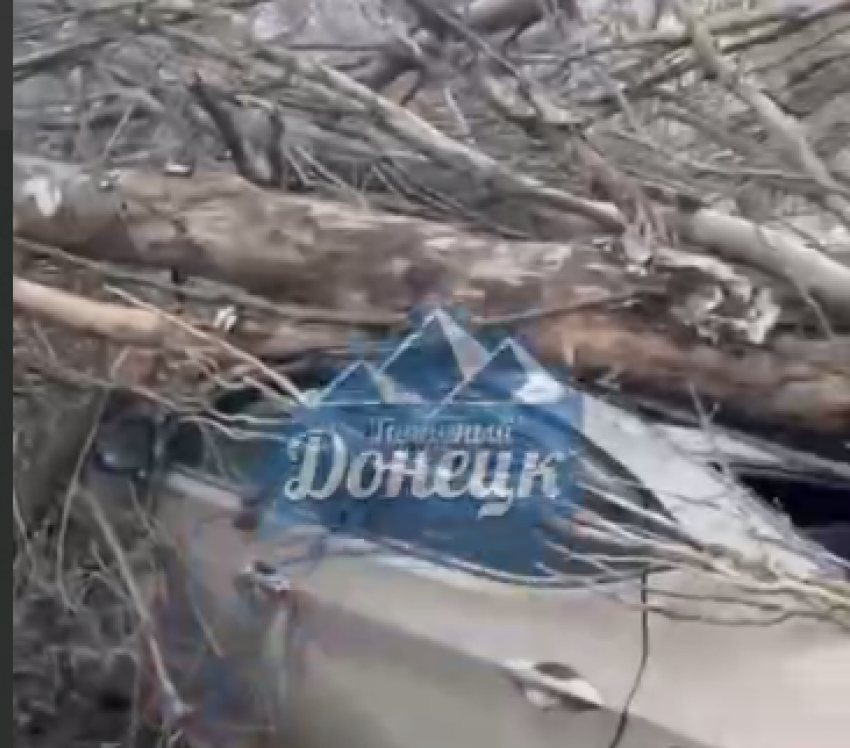 Дерево рухнуло на автомобили на улице Крамарчука, 4