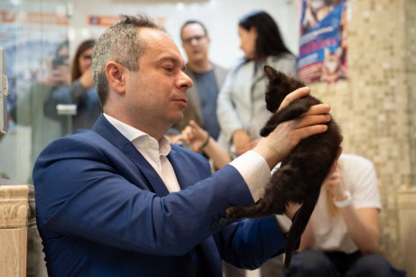 От СВО до московской сцены: фронтовые кошки из Донбасса пополнили группу театра Куклачева