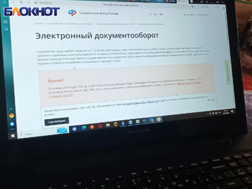 Как не получать штрафы за неправильные отчеты: Соцфонд РФ по ДНР рассказал, что делать работодателям