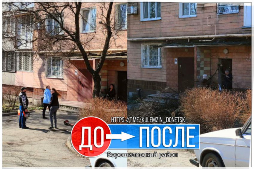 В центре Донецка коммунальщики ликвидировали одно аварийное дерево