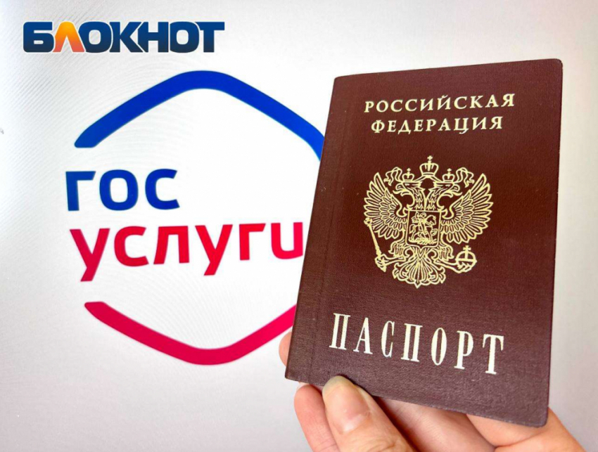 Вместе с паспортом РФ жители ДНР автоматически получат СНИЛС и ИНН