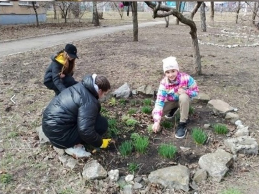  В образовательных организациях ДНР появляются ботанические сады  