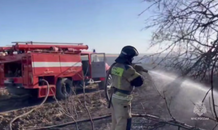 Пожарные спасли лес от огня в ДНР