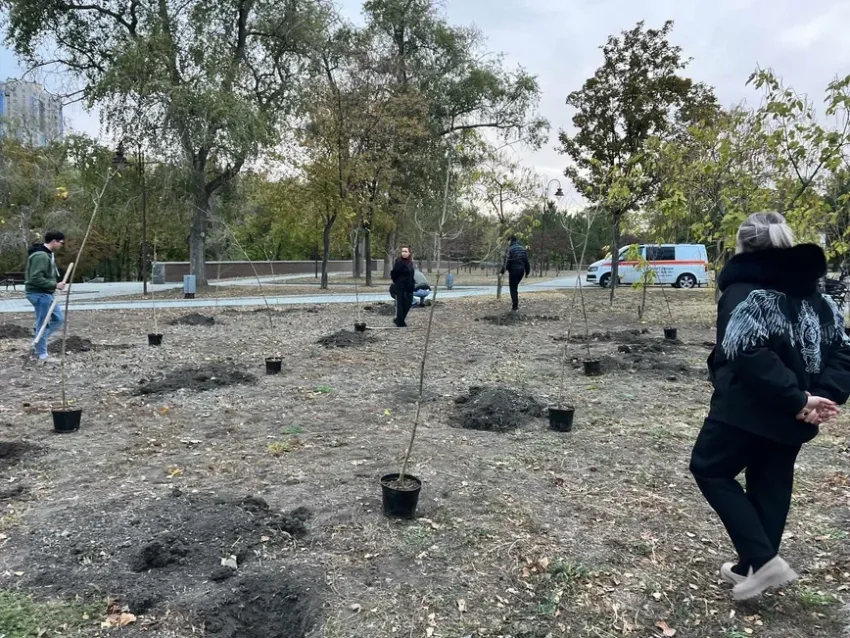 В честь Дня Воссоединения Донбасса молодежь высадила 50 дубов