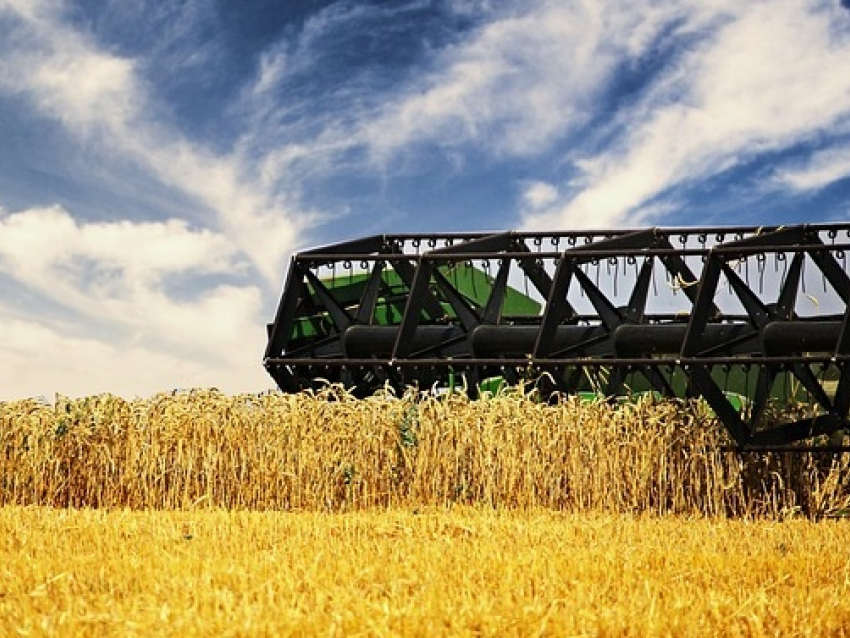 Сельскохозяйственная отрасль в ДНР развивается – все показатели растут