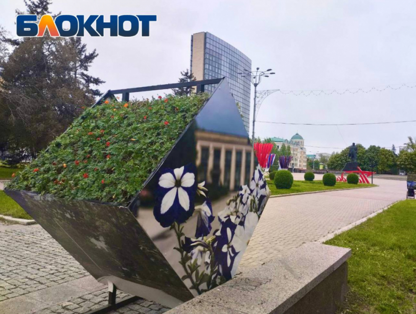 На центральной площади Донецка появилось 7000 цветов