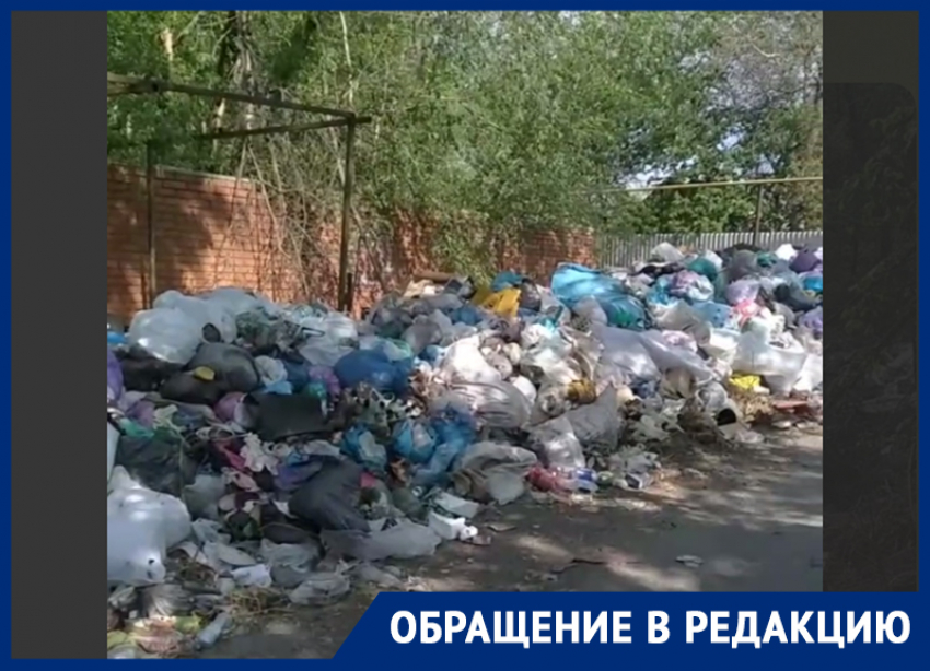«Летом заведутся крысы, будет чума, бешенство, да что угодно»: в частном секторе Донецка появилась огромная стихийная свалка